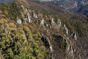 76 Foresta di arditi pinnacoli sul versante di Val Serina